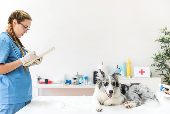 Read more about the article How to Choose the Perfect Daycare?